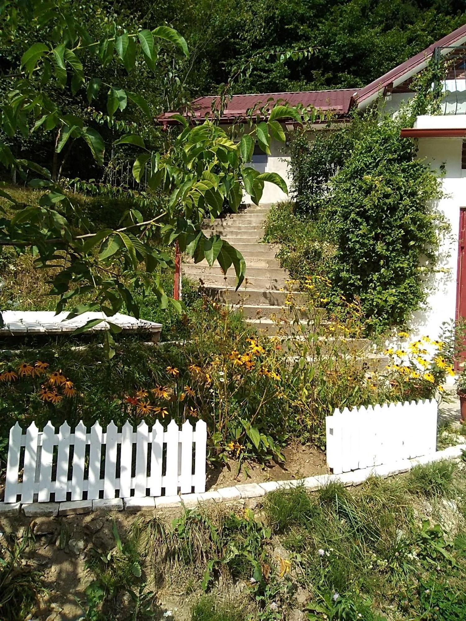 Casa Ozon Hotel Vulcan  Exterior photo