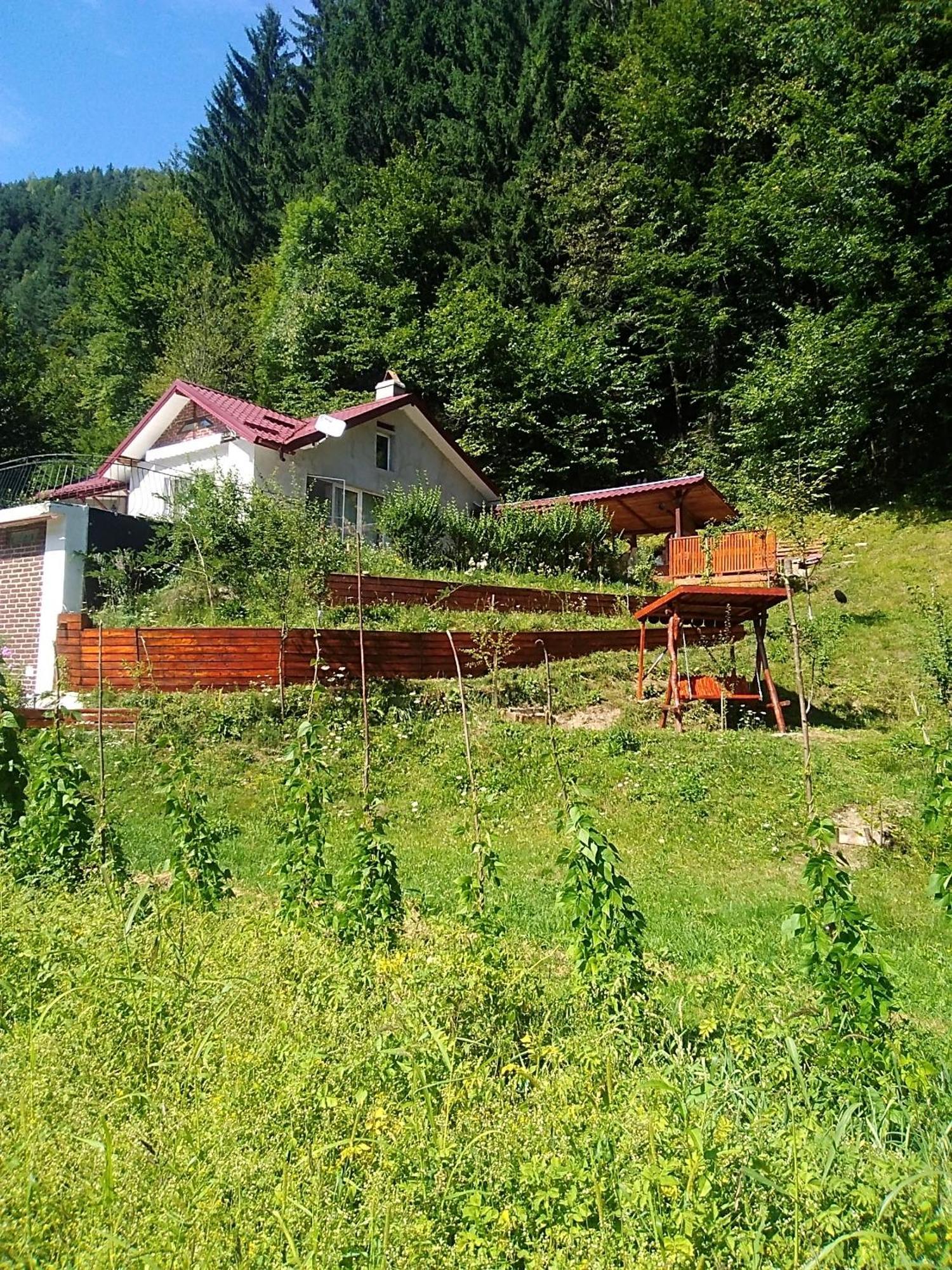 Casa Ozon Hotel Vulcan  Exterior photo