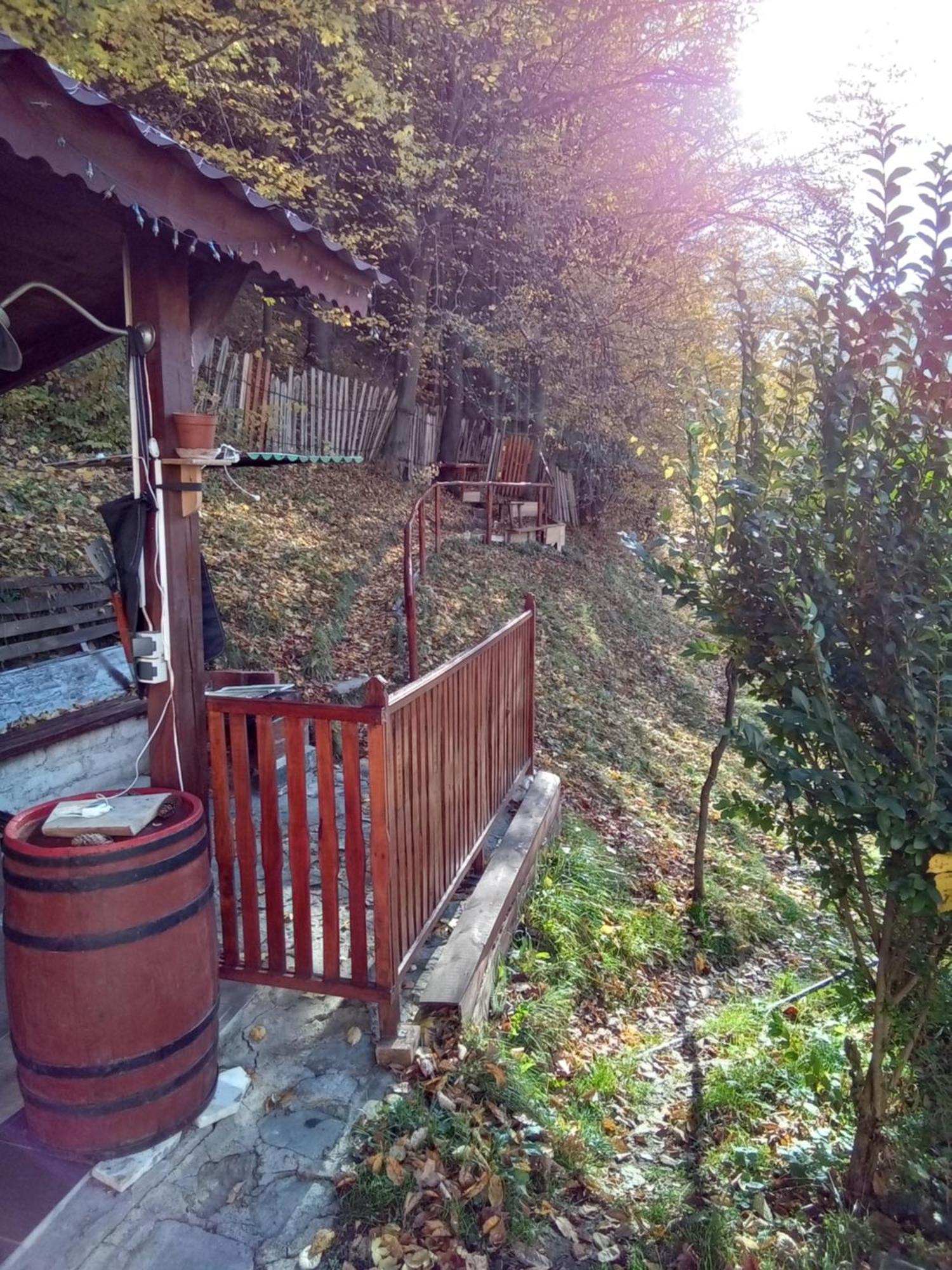 Casa Ozon Hotel Vulcan  Exterior photo
